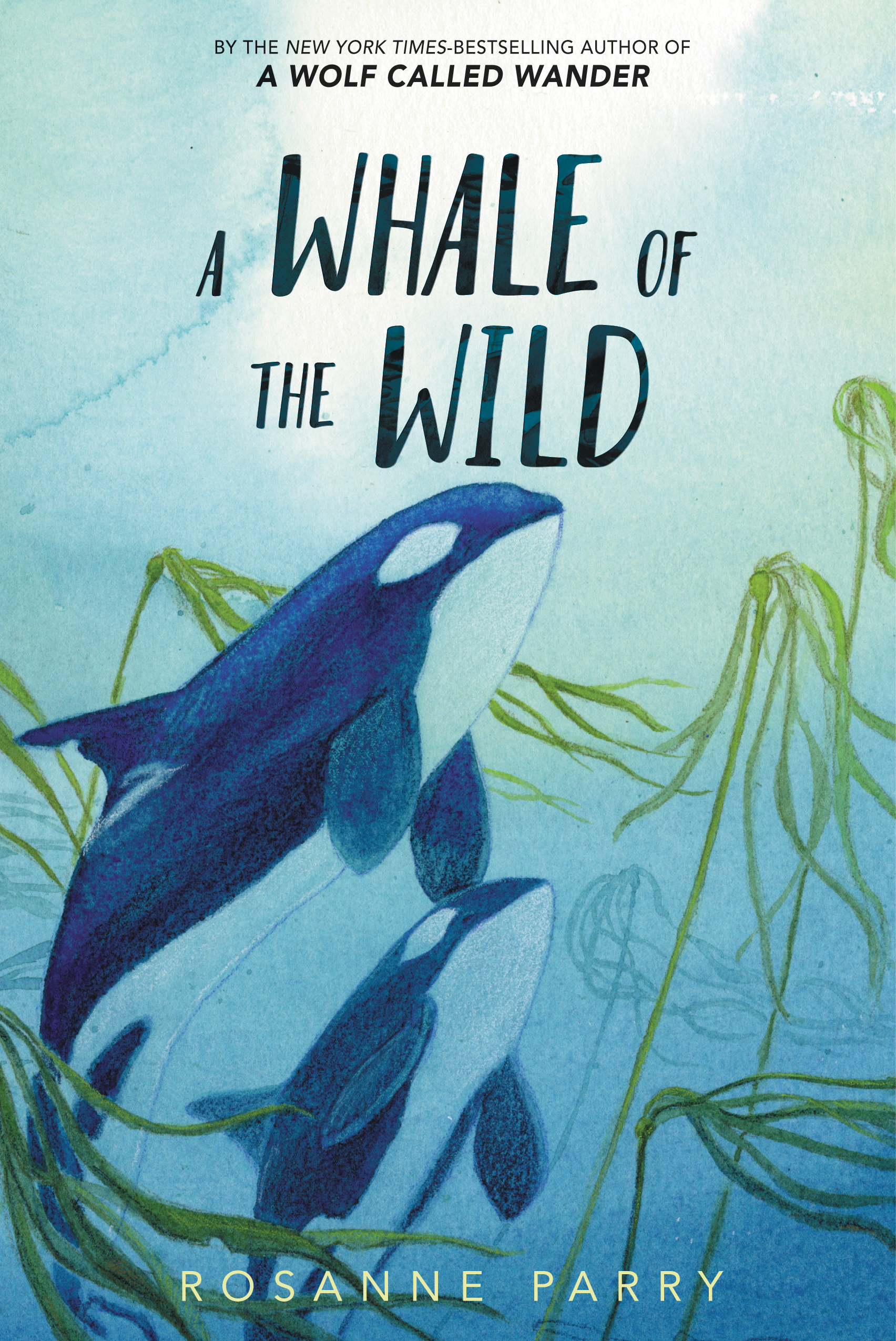 A Starred Review for A Whale of the Wild | Rosanne Parry